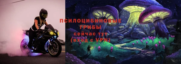 apvp Алексеевка