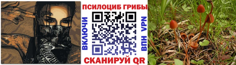 магазин продажи   Закаменск  Галлюциногенные грибы MAGIC MUSHROOMS 